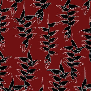 PAREO STANDARD